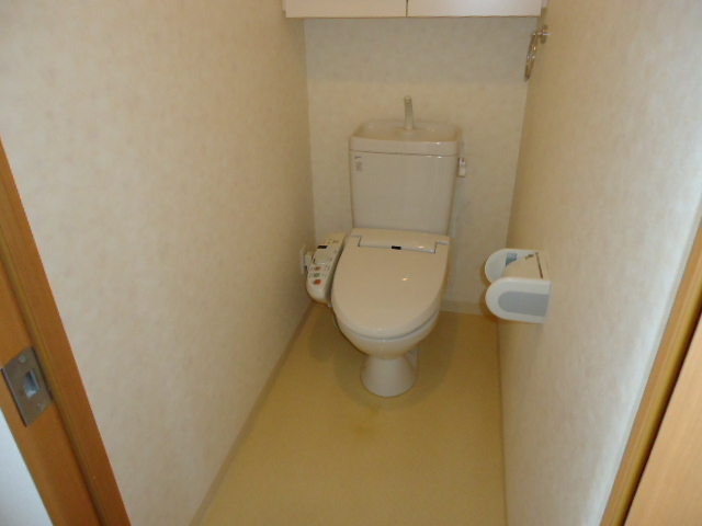 Toilet. Heating washing toilet seat