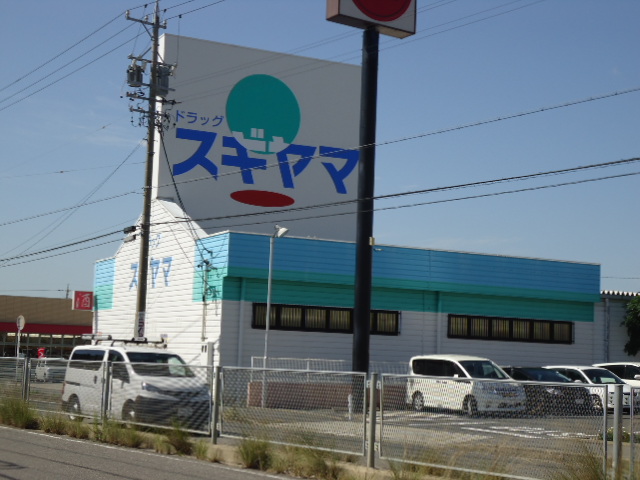 Dorakkusutoa. 250m to drag Sugiyama (drugstore)