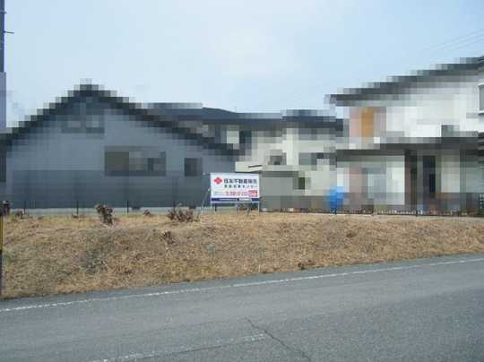 Local land photo. Appearance (1)