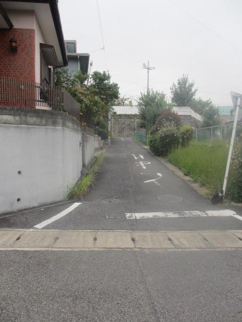 Local photos, including front road. Local (10 May 2013) Shooting