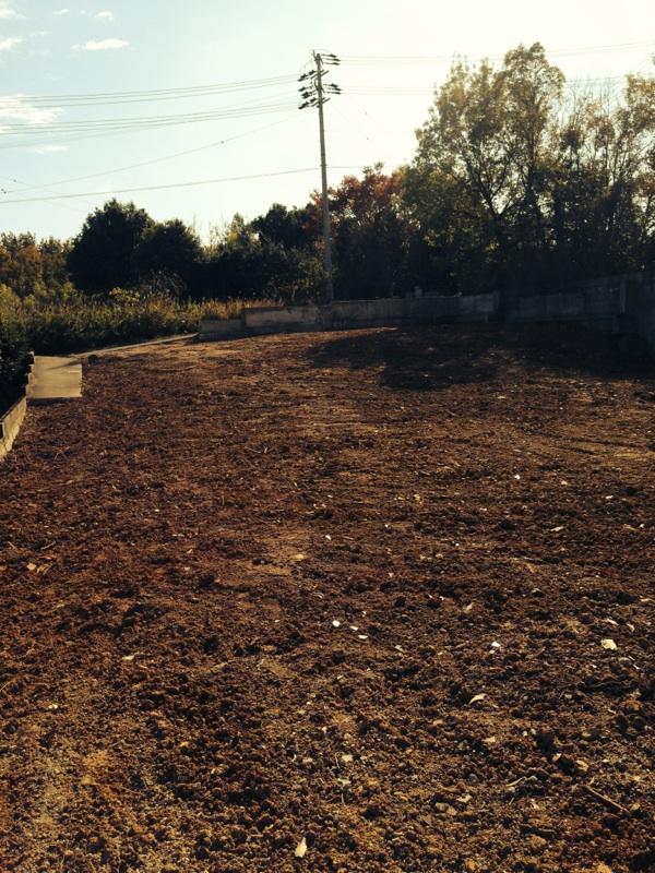 Local land photo. Local (11 May 2013) Shooting