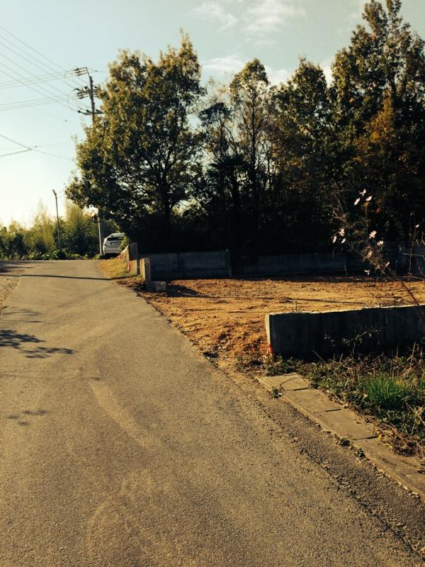 Local photos, including front road. Local (11 May 2013) Shooting