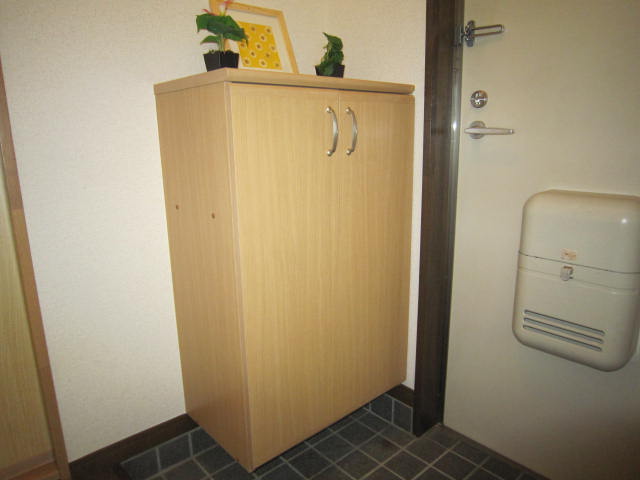 Entrance. With cupboard