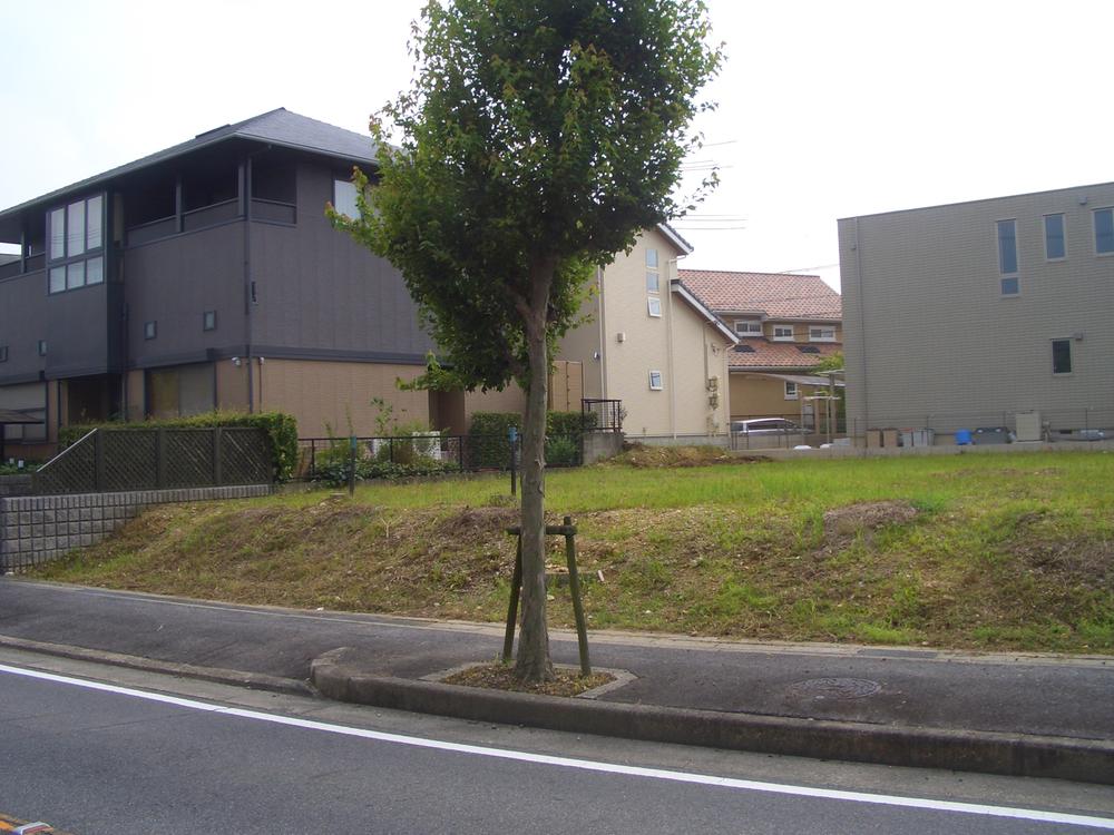 Local land photo. Local B compartment (July 2013) Shooting