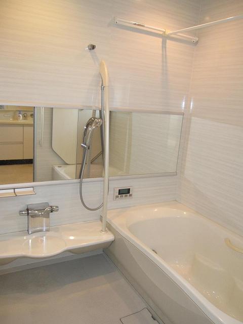 Bathroom. Bathroom 2013 November shooting