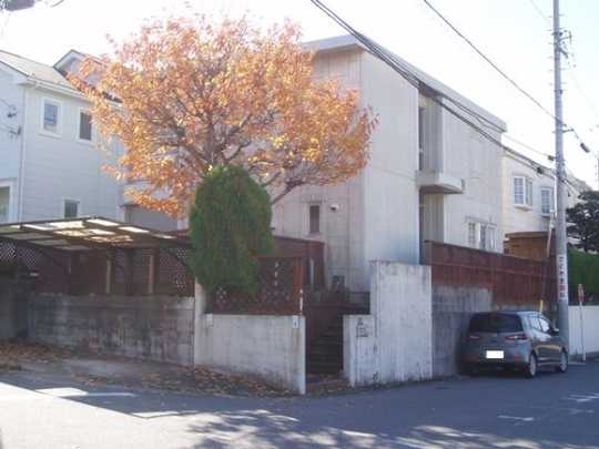 Local appearance photo. appearance