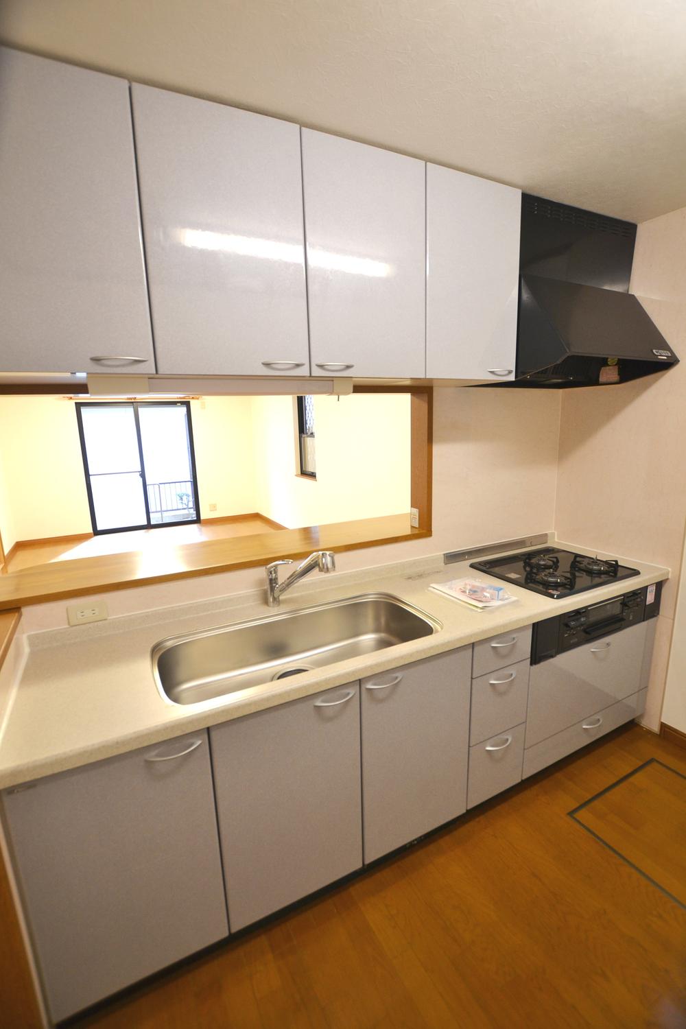 Kitchen. Indoor (12 May 2013) Shooting