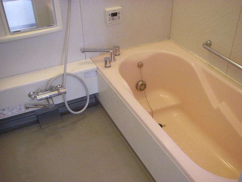 Bathroom. Indoor (10 May 2013) Shooting