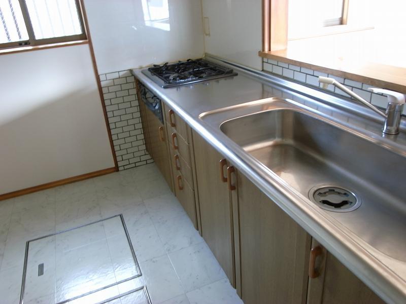 Kitchen. Indoor (11 May 2013) Shooting