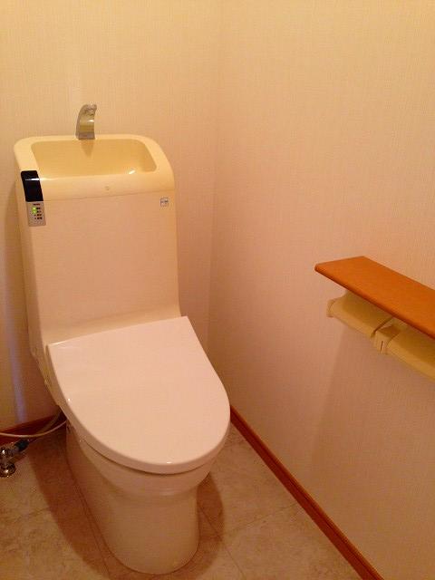 Entrance. Toilet with cleanliness