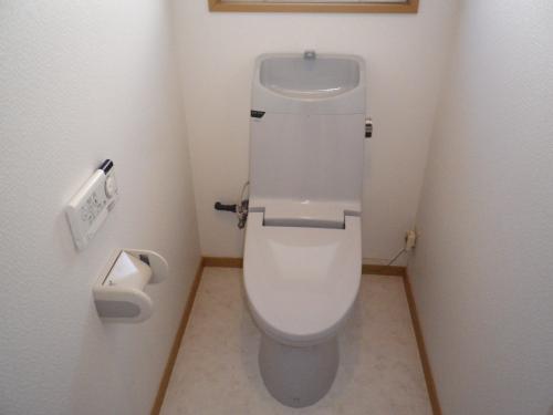 Other introspection. Toilet