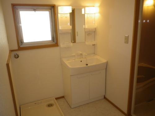 Other introspection. Wash