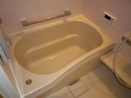 Other introspection. Bathroom