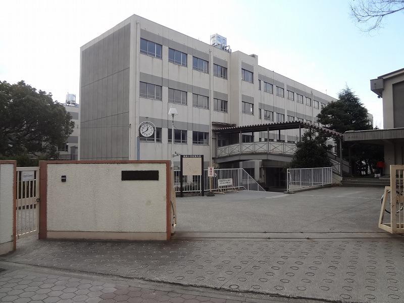 Primary school. Ithaca to elementary school 240m