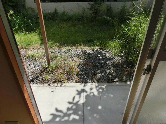 Garden. Local (September 2013) Shooting