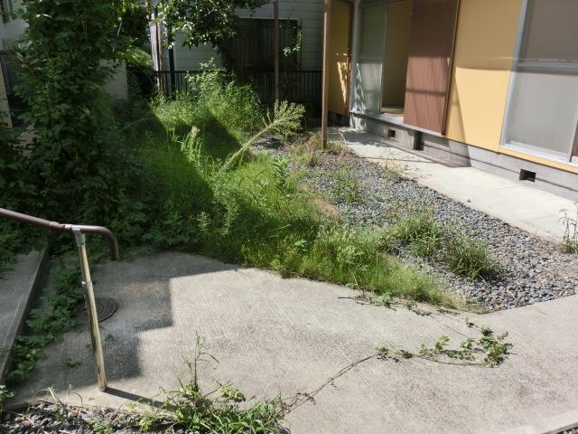 Garden. Local (September 2013) Shooting