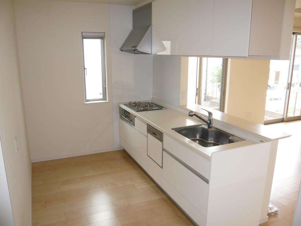 Kitchen. Indoor (11 May 2013) Shooting