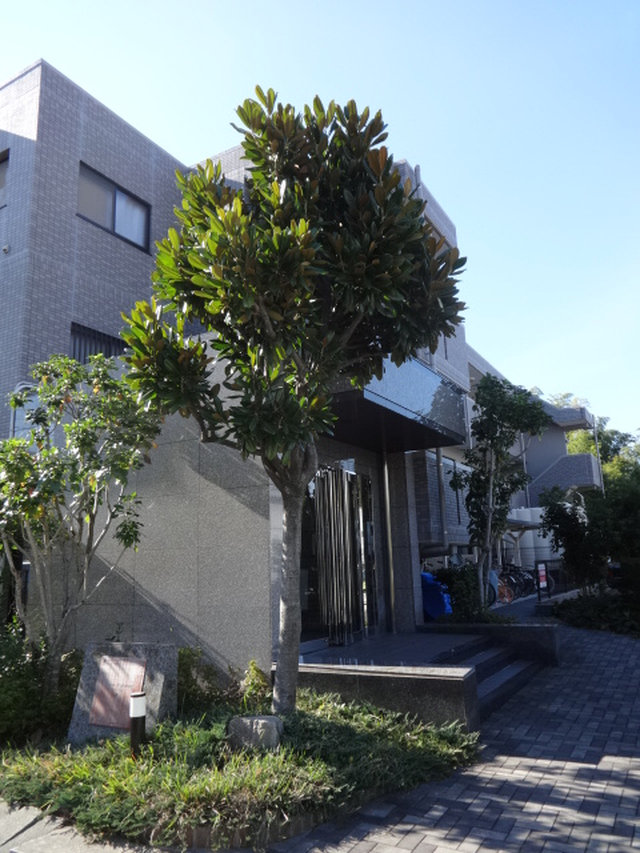 Building appearance
