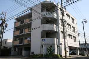 Building appearance