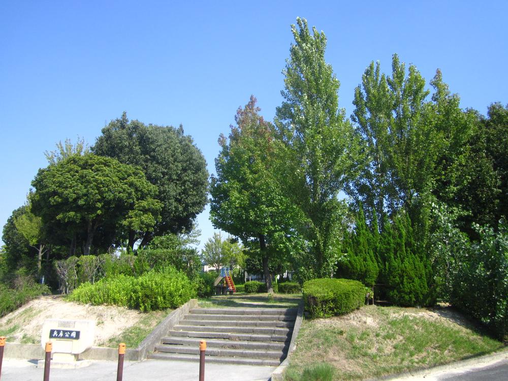 Other. Peripheral photo