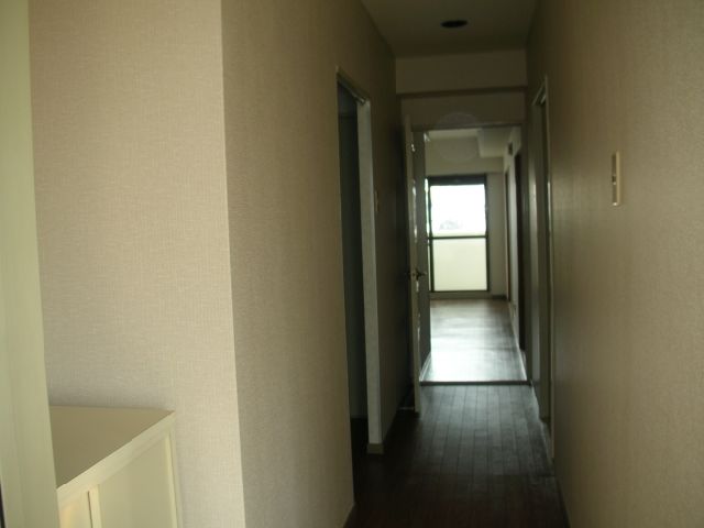 Entrance. Corridor