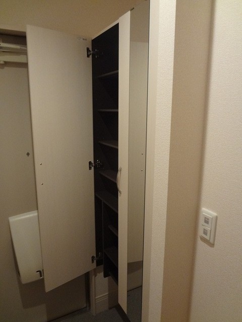Entrance. Cupboard (tall type)