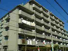 Building appearance