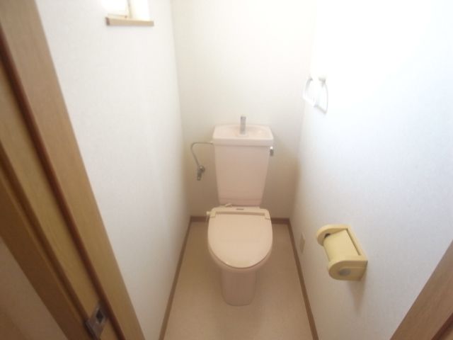 Toilet. Toilet