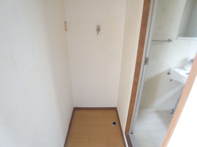 Other room space. Washing machine in the room