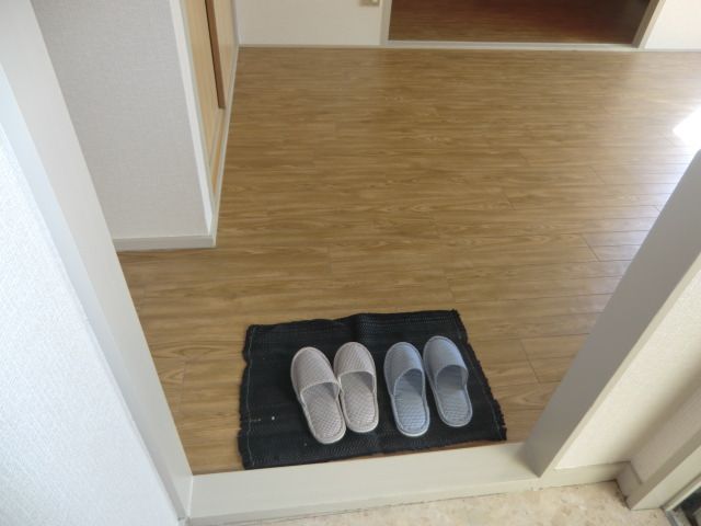 Entrance. Toilet