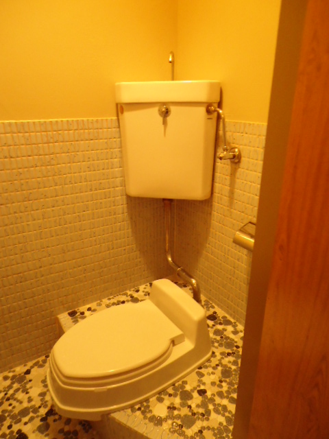 Toilet