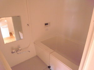 Bath. Bathroom has a new! !