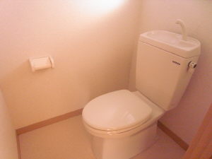 Toilet. Toilet also has a new! !