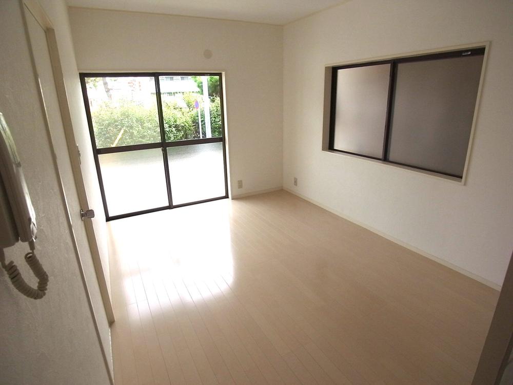 Other introspection. Indoor (September 2012) shooting