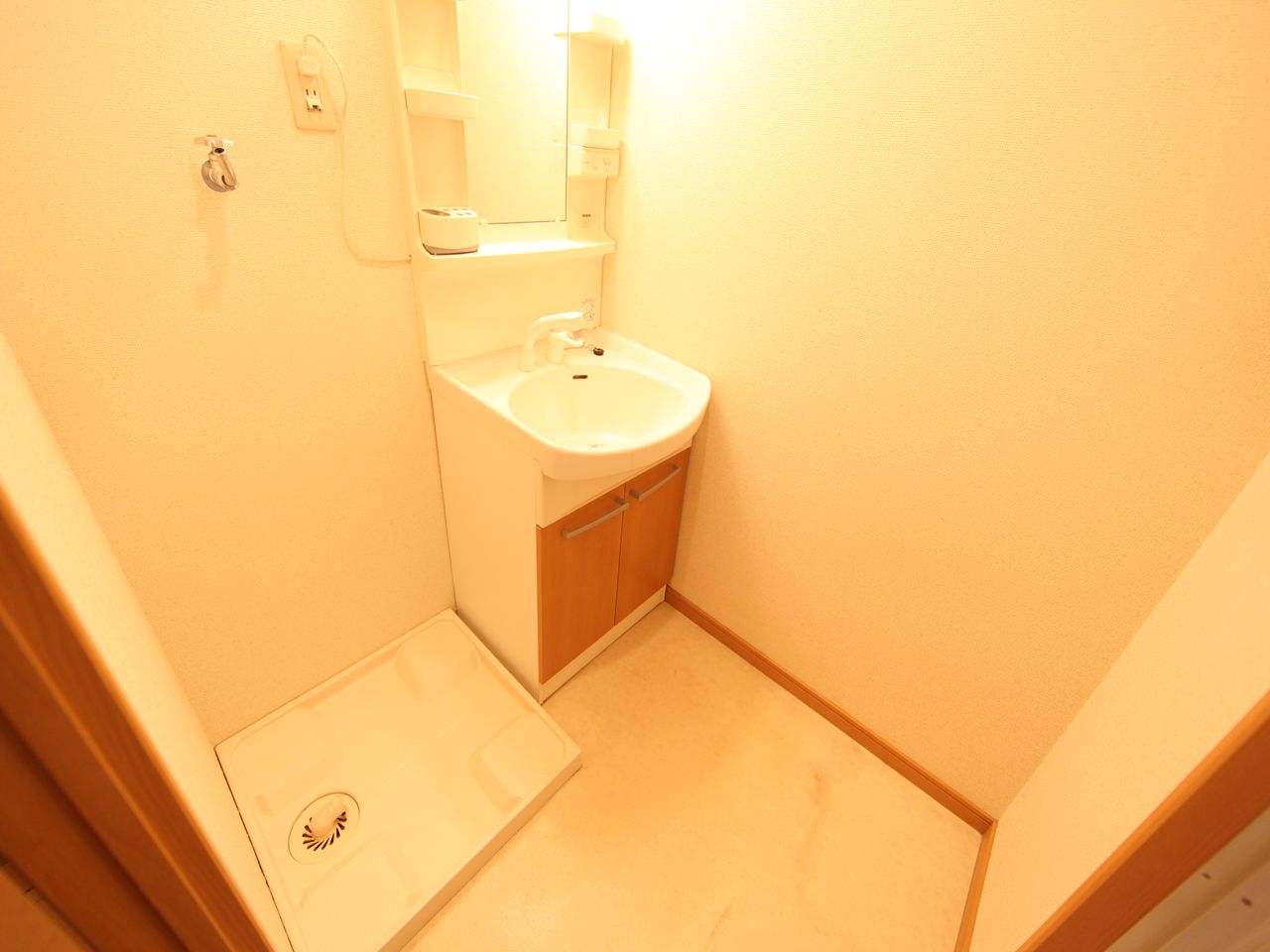 Washroom. Dressing room Independent washbasin (with shampoo dresser)