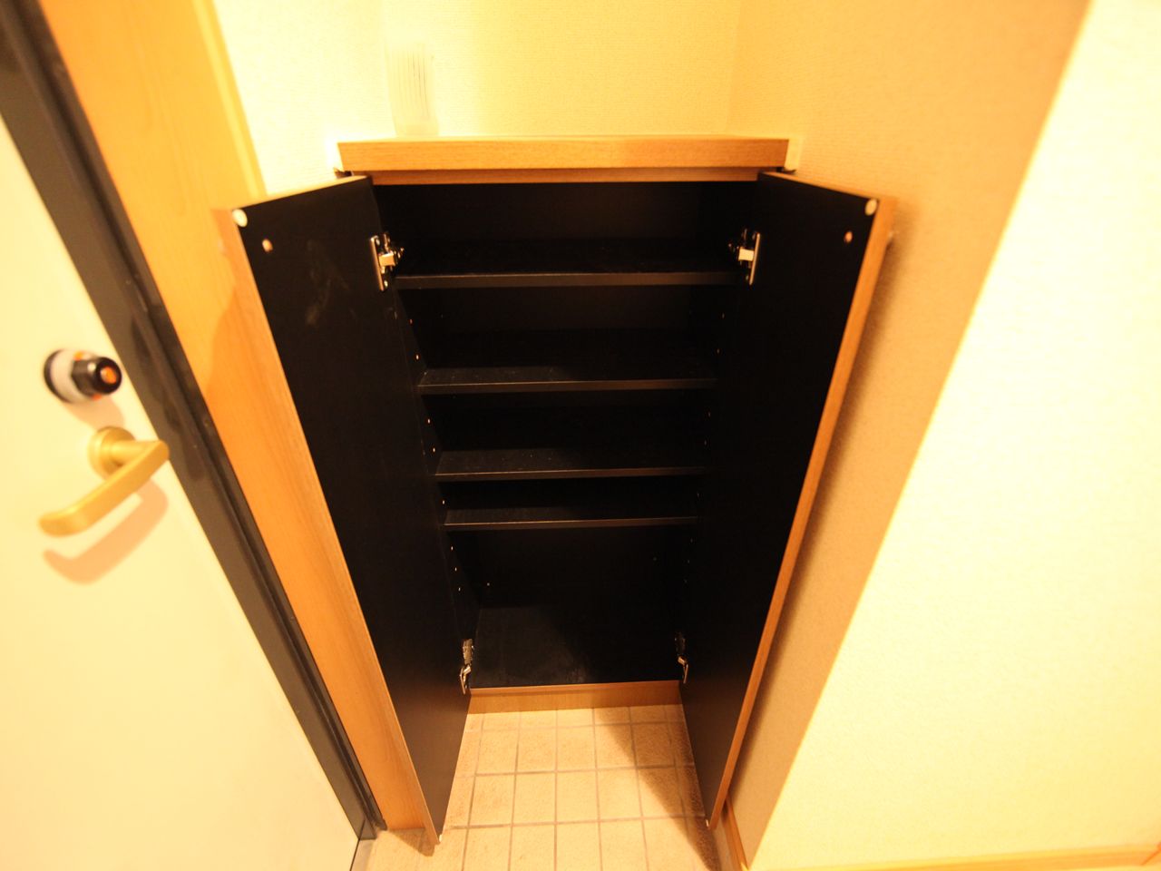 Entrance. Entrance With shoe box