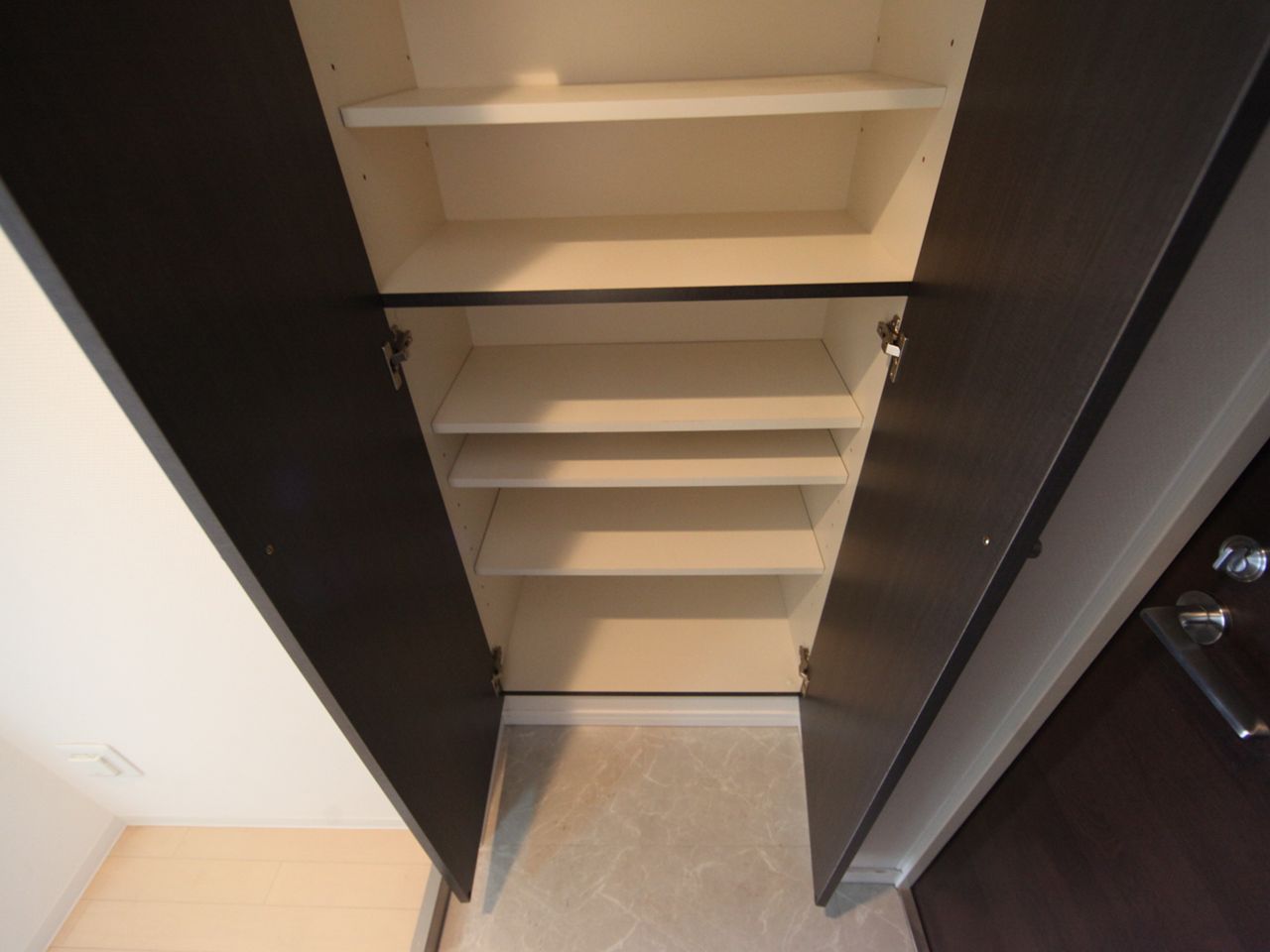 Entrance. Entrance Shoe box