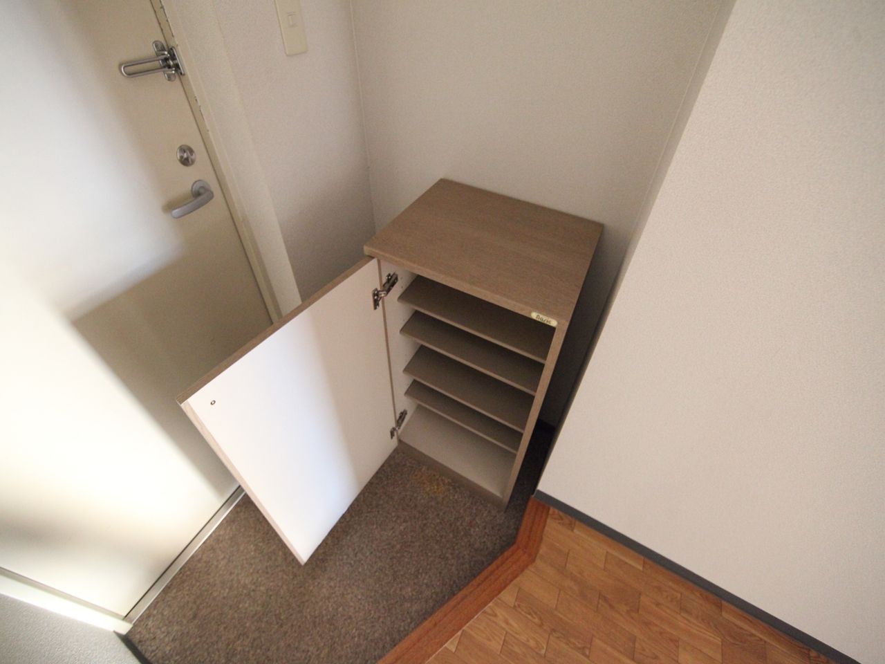 Entrance. Entrance With shoe box