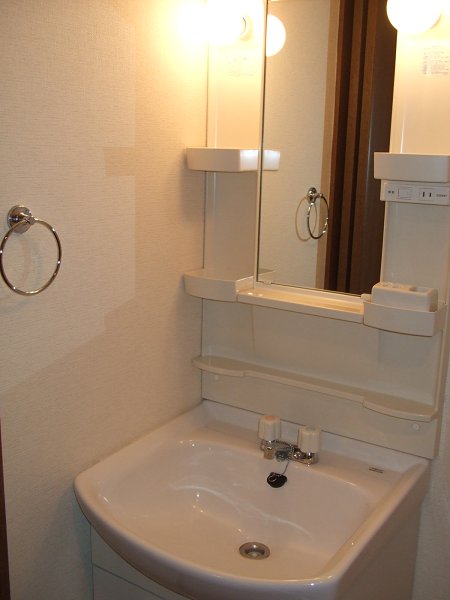 Washroom. Wash basin