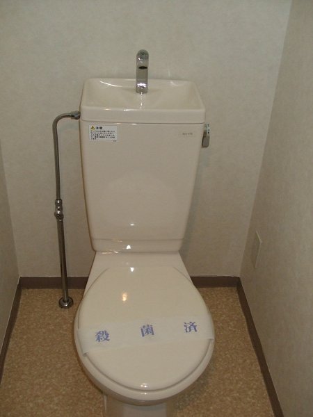 Toilet. Toilet