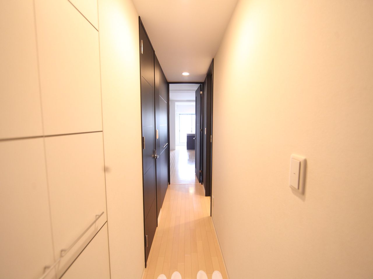 Entrance. Entrance space (shoe box equipped)