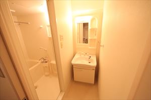 Washroom. Dressing room Shampoo dresser