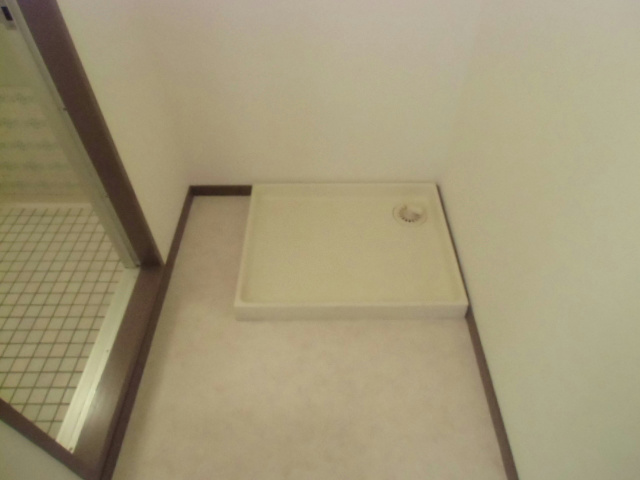 Washroom. Washing machine in the room