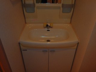 Washroom. Wash basin