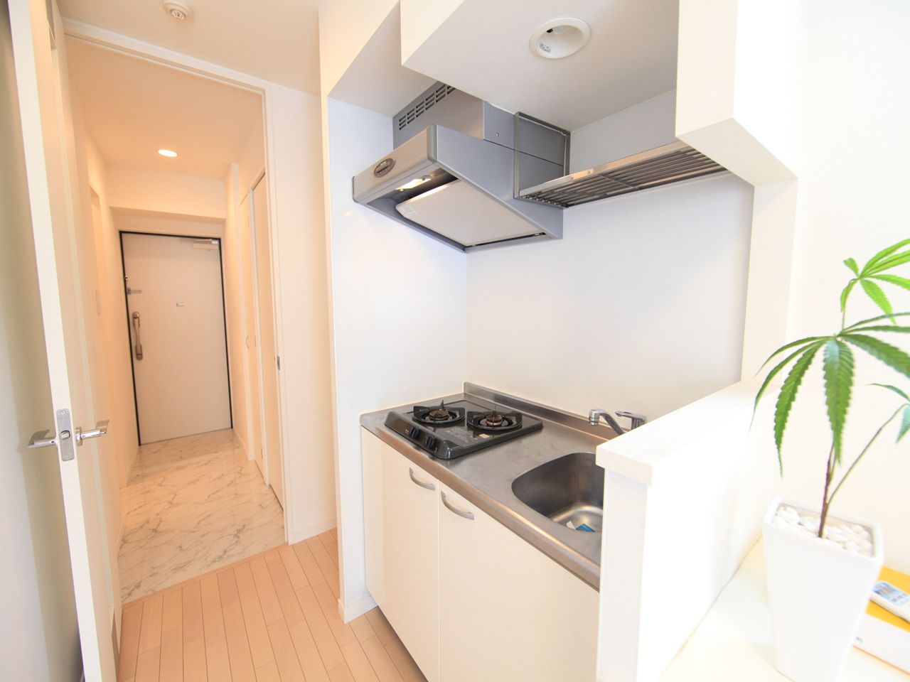 Kitchen. System kitchen (gas two-burner stove)