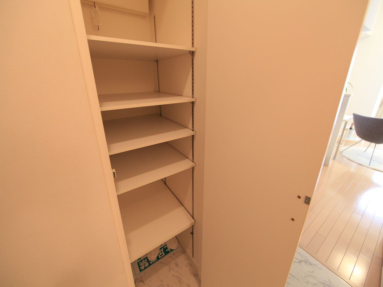 Entrance. Shoe box (Also attached storage to the right next to it)