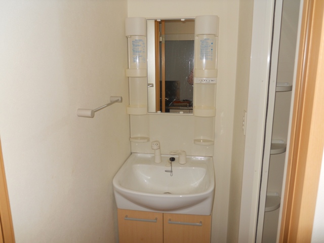 Washroom. Wash basin