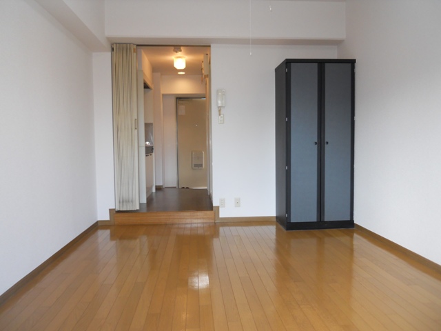 Living and room. Western-style (shooting from the veranda side