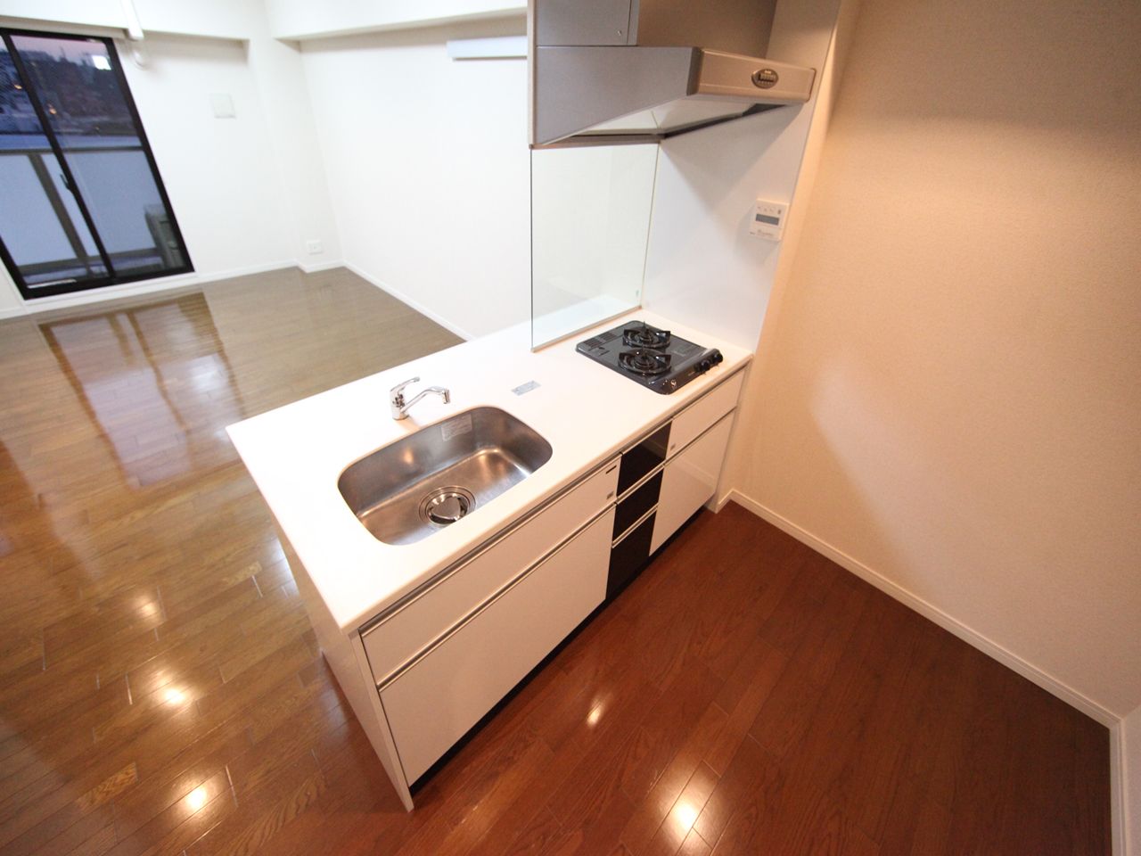 Kitchen. System kitchen (two-burner gas) Counter Type