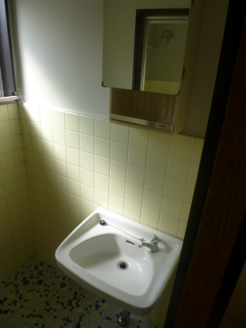 Washroom. Wash basin